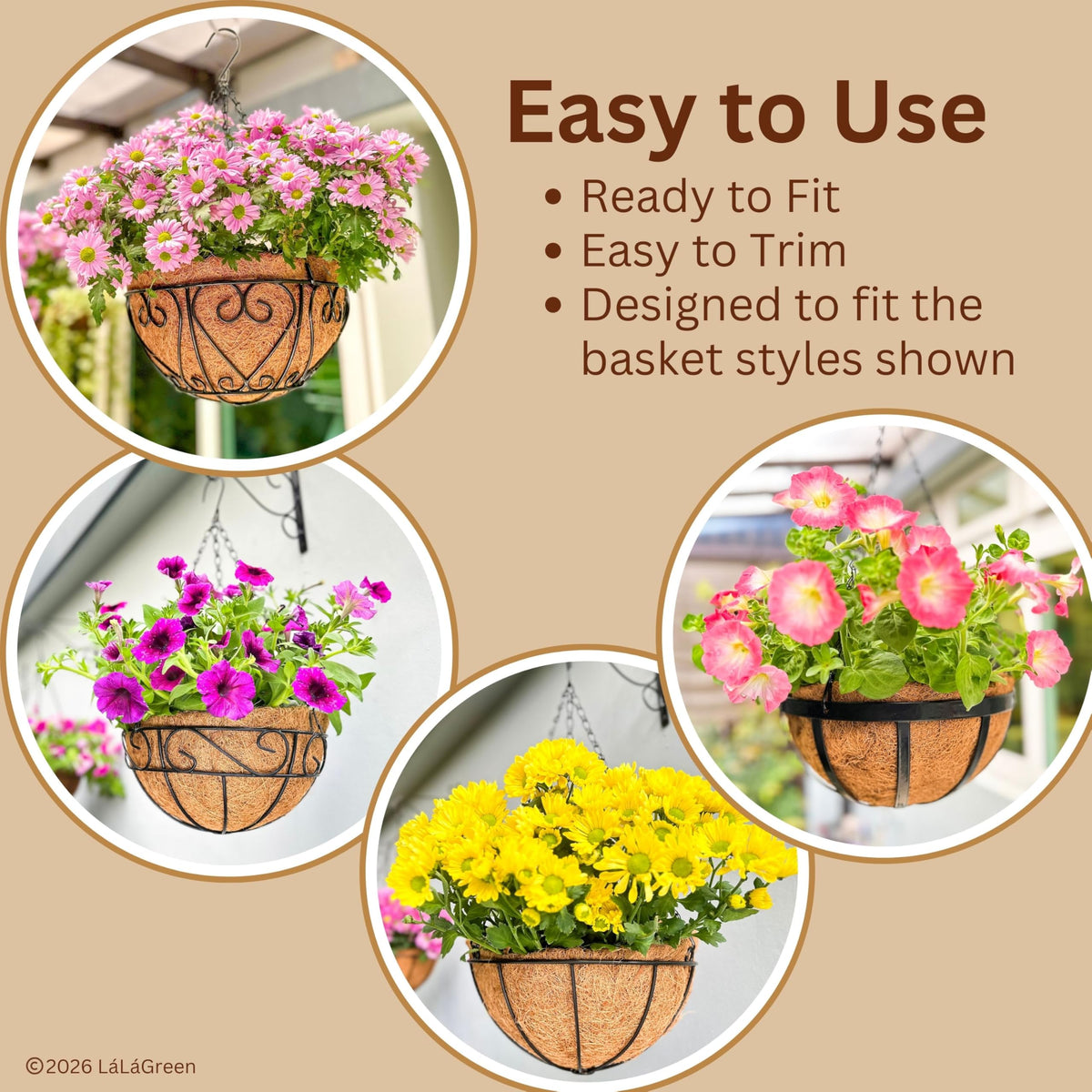 LáLáGreen soak-before-planting instruction helps roots settle evenly.