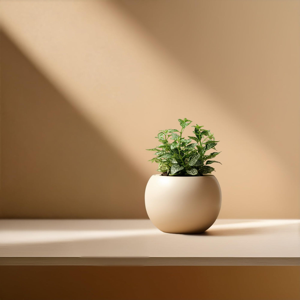LAMENICO self-watering setup helps plants stay hydrated with minimal effort