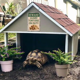 Lamvao outdoor tortoise sign with pre-drilled holes, easy to hang anywhere.