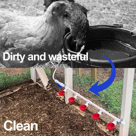 LANARP coop water dispenser system in a poultry setup