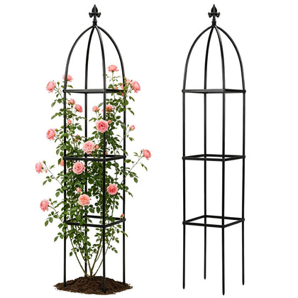 Lancisism 63-inch metal obelisk trellis supports climbing vines outdoors.