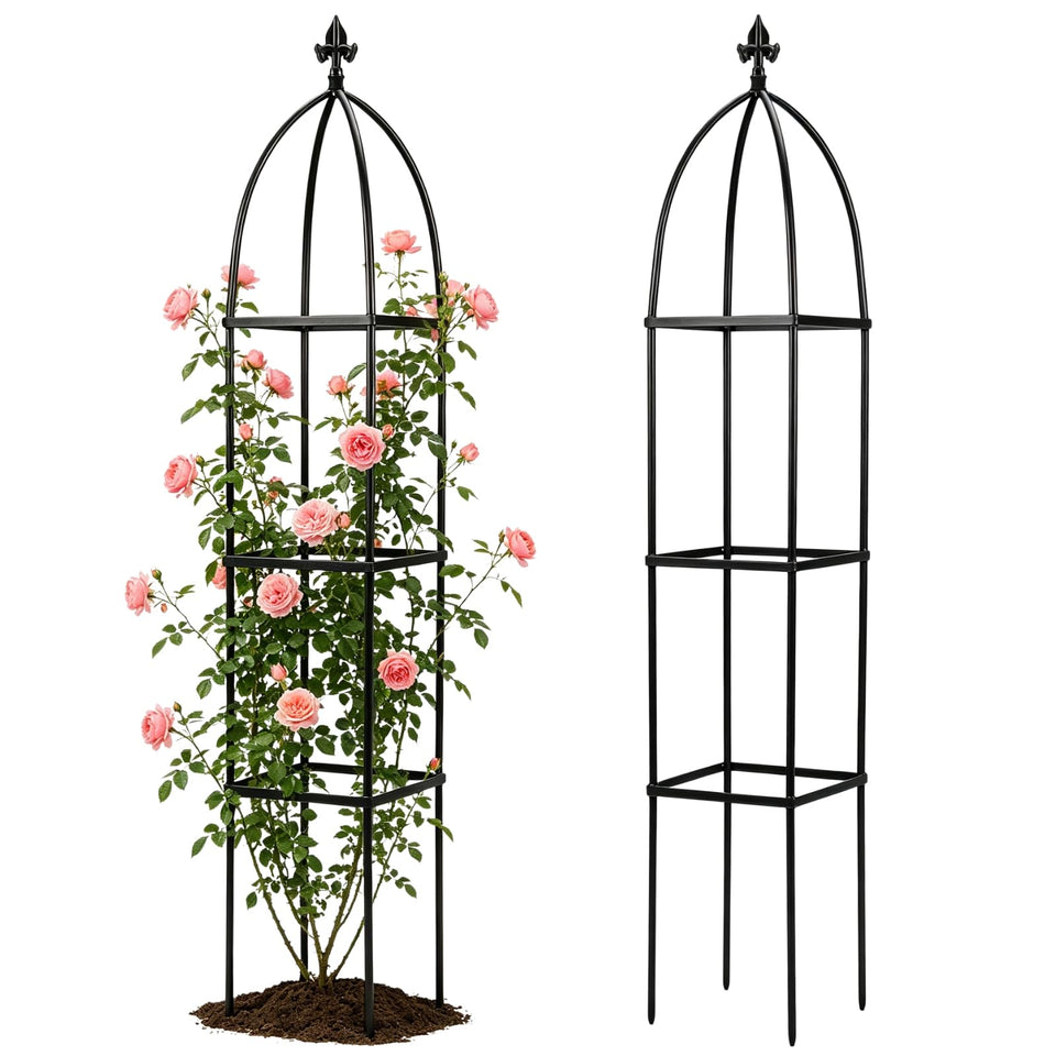 Lancisism 63-inch metal obelisk trellis supports climbing vines outdoors.