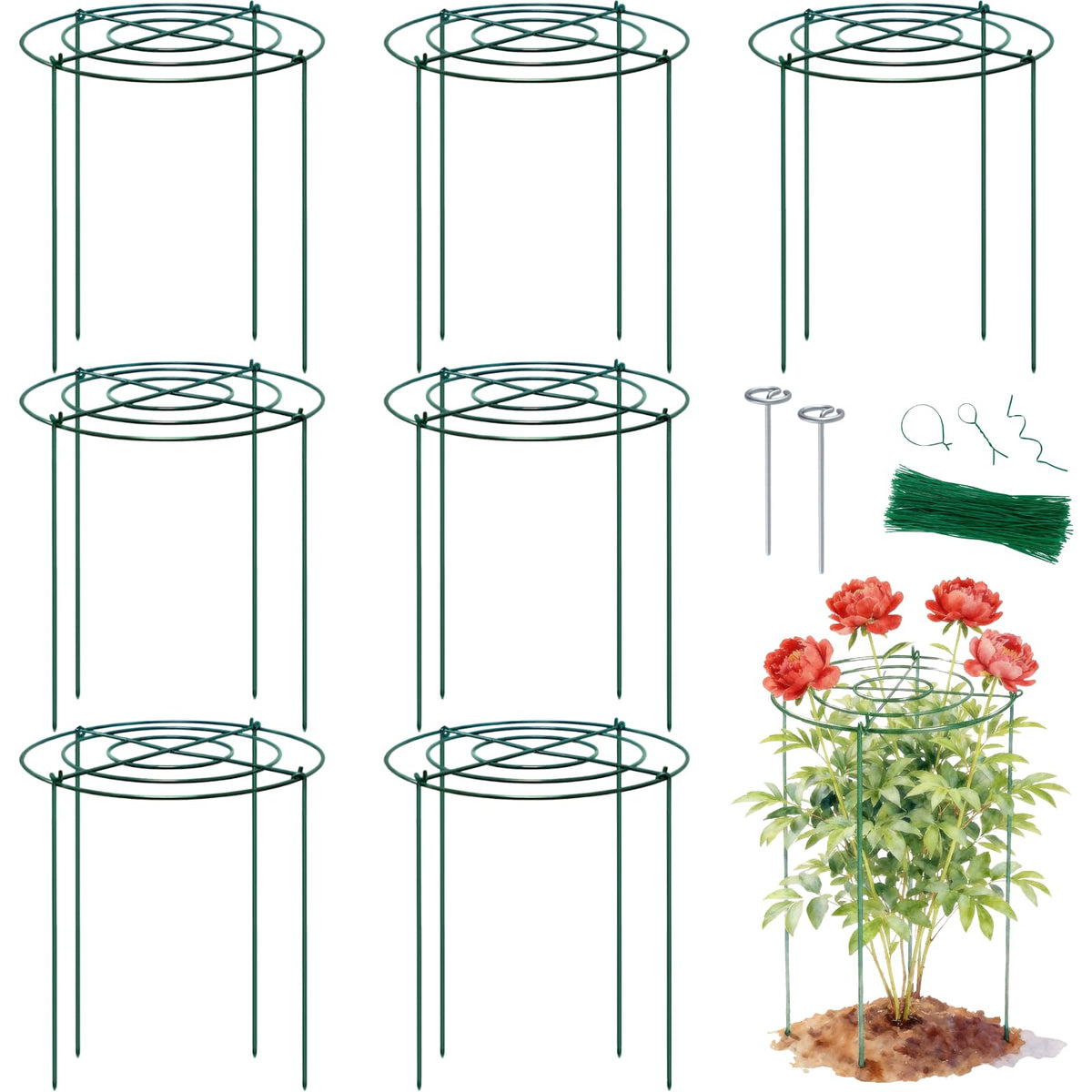 Lancisism 8-pack peony cage with a 12-inch ring supports tall blooms upright