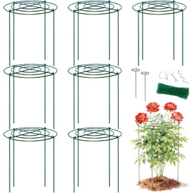 Lancisism 8-pack peony cage with a 12-inch ring supports tall blooms upright