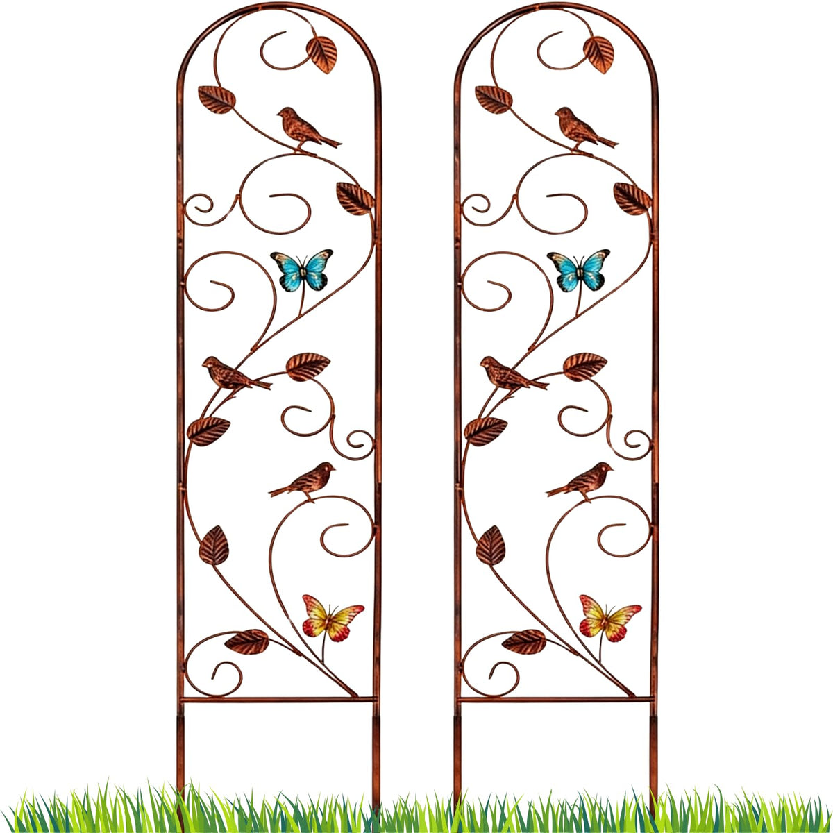 Lancisism brown metal garden trellis with butterflies and birds supports climbers