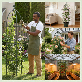Lancisism climbing plants support keeps vines secure as they grow.