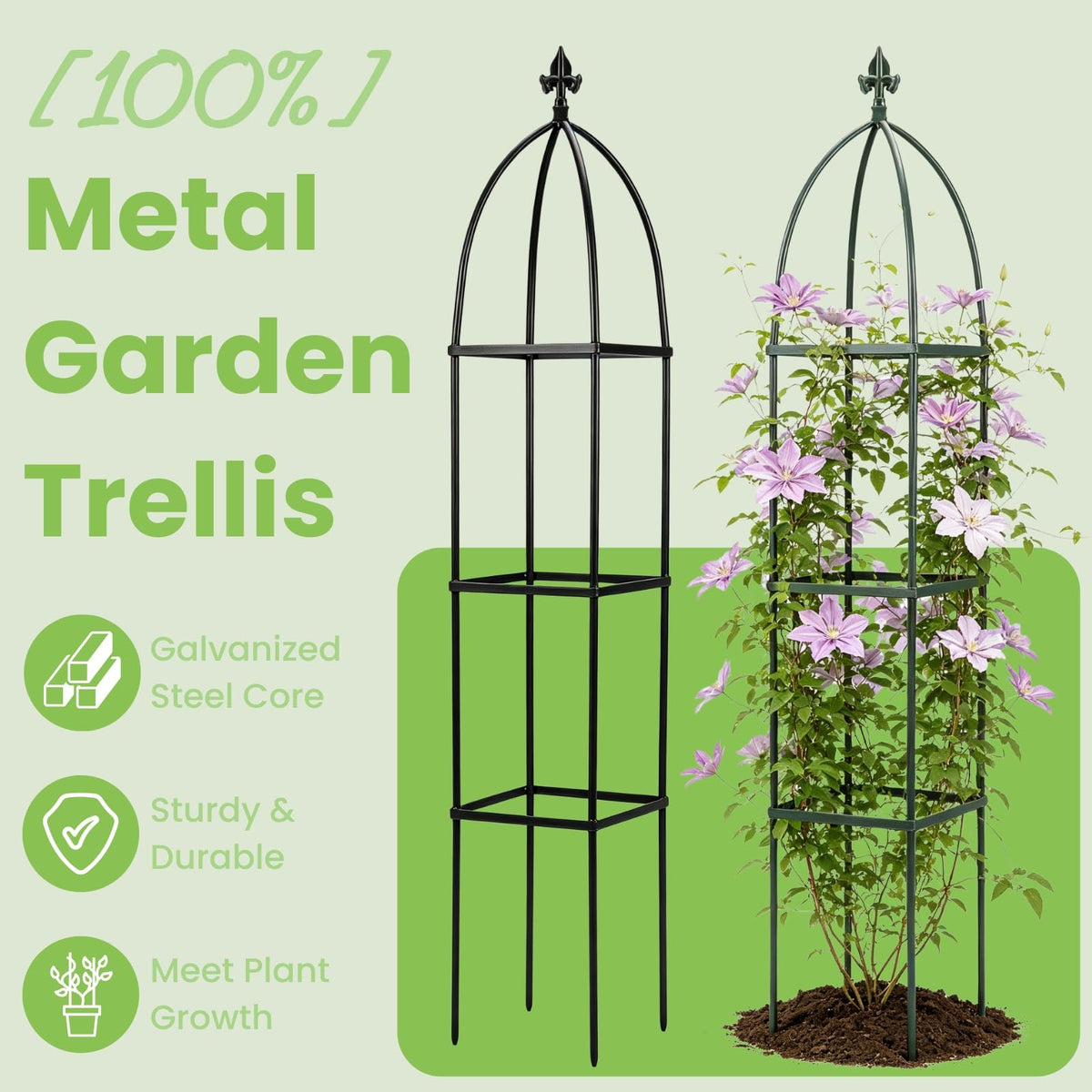 Lancisism garden obelisk provides vertical plant support.