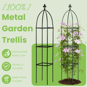 Lancisism garden obelisk provides vertical plant support.