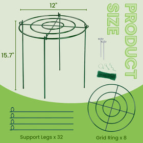 Lancisism grid-design support maintains neat stems and even sun exposure
