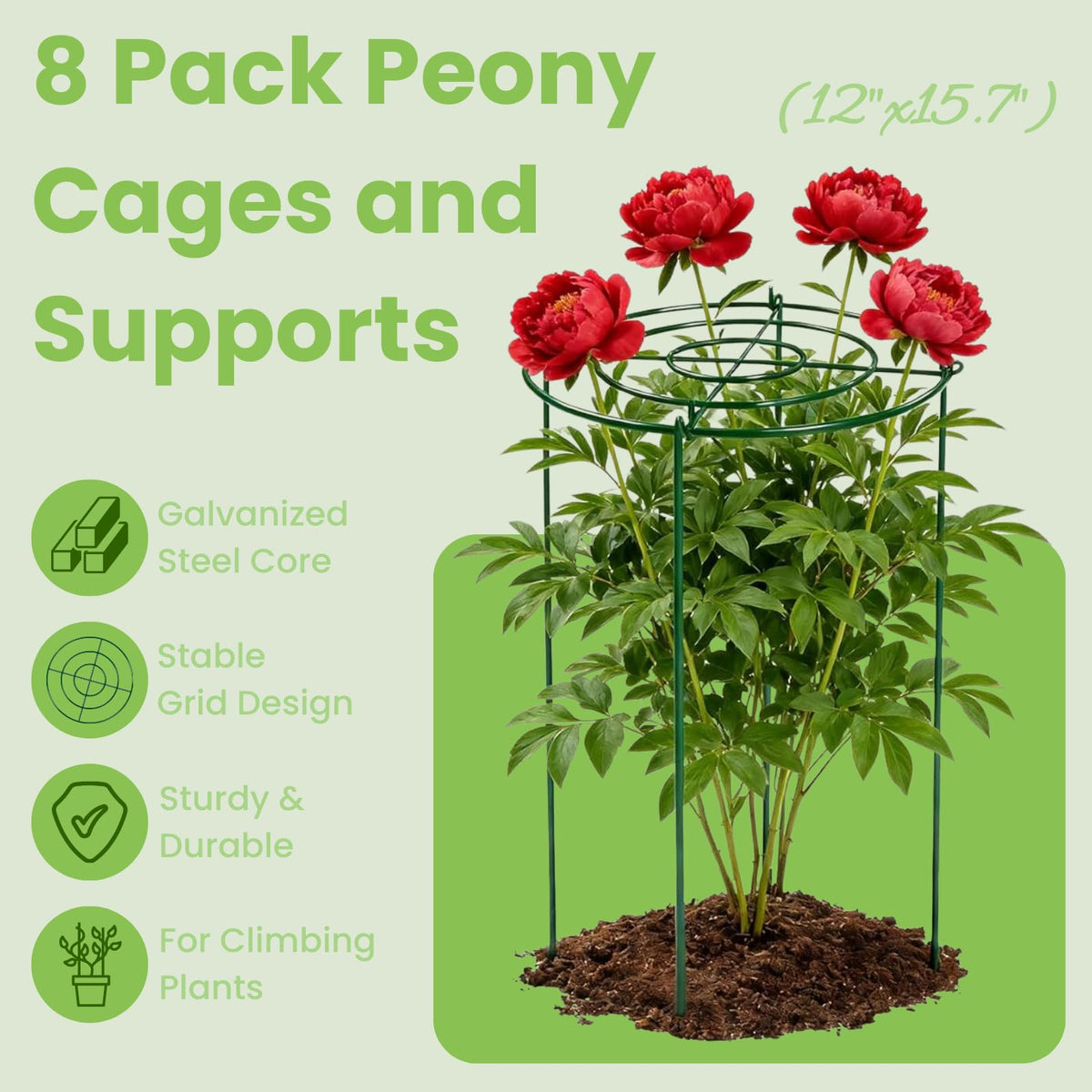 Lancisism heavy-duty plant support frame keeps roses and tomatoes sturdy