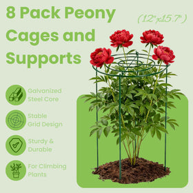 Lancisism heavy-duty plant support frame keeps roses and tomatoes sturdy