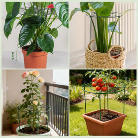 Lancisism outdoor plant cage keeps tall blooms standing through wind