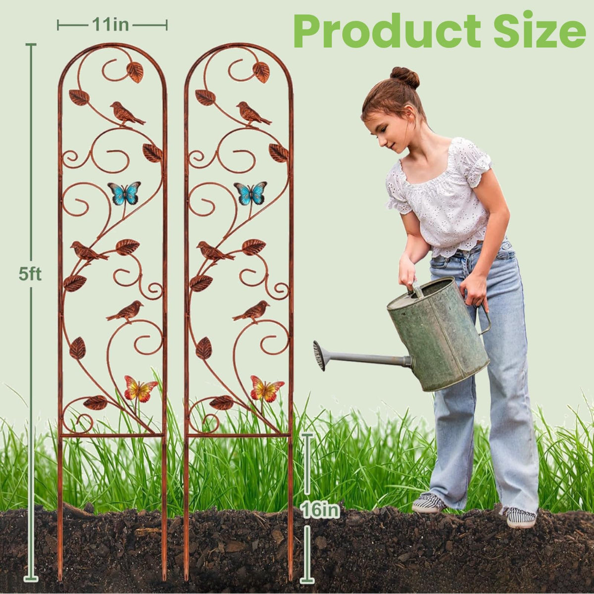 Lancisism plant support trellis for vines and flowering plants