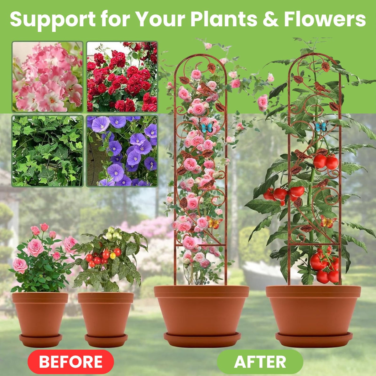 Lancisism two-pack trellises arranged side by side for versatile layouts