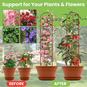 Lancisism two-pack trellises arranged side by side for versatile layouts