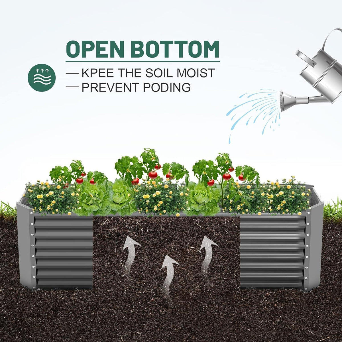 Land Guard open-base design drains excess water for healthy roots.