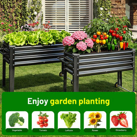 Land Guard 36-gallon planting area supporting diverse plantings.