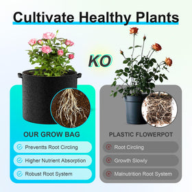 Space-saving Land Guard bags designed to protect roots during storage and transport.
