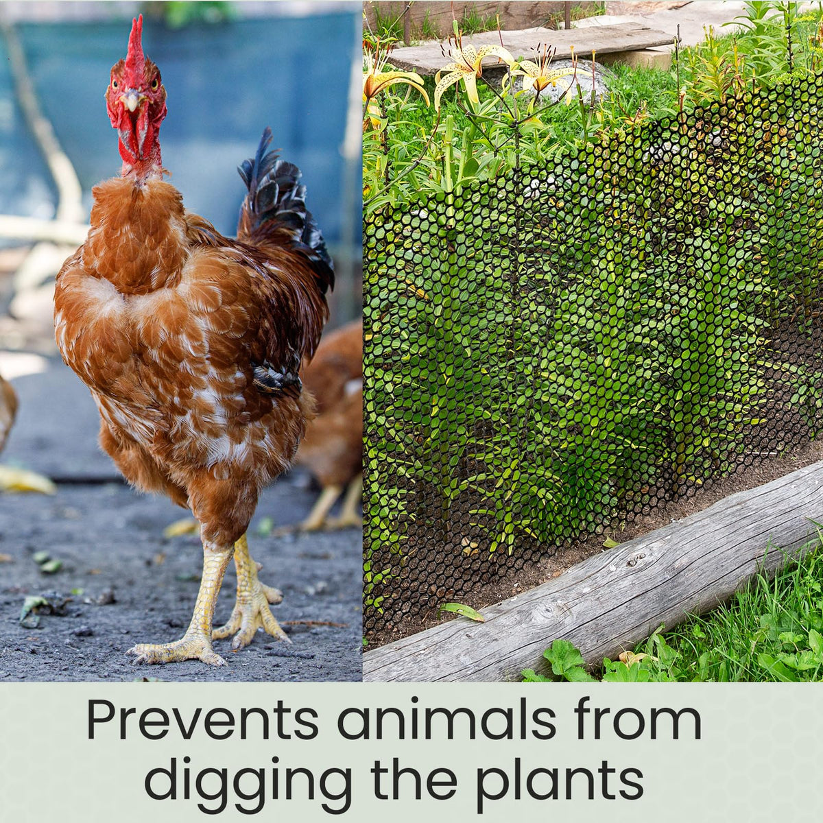 Landical durable, UV and rust resistant plastic fencing used outdoors