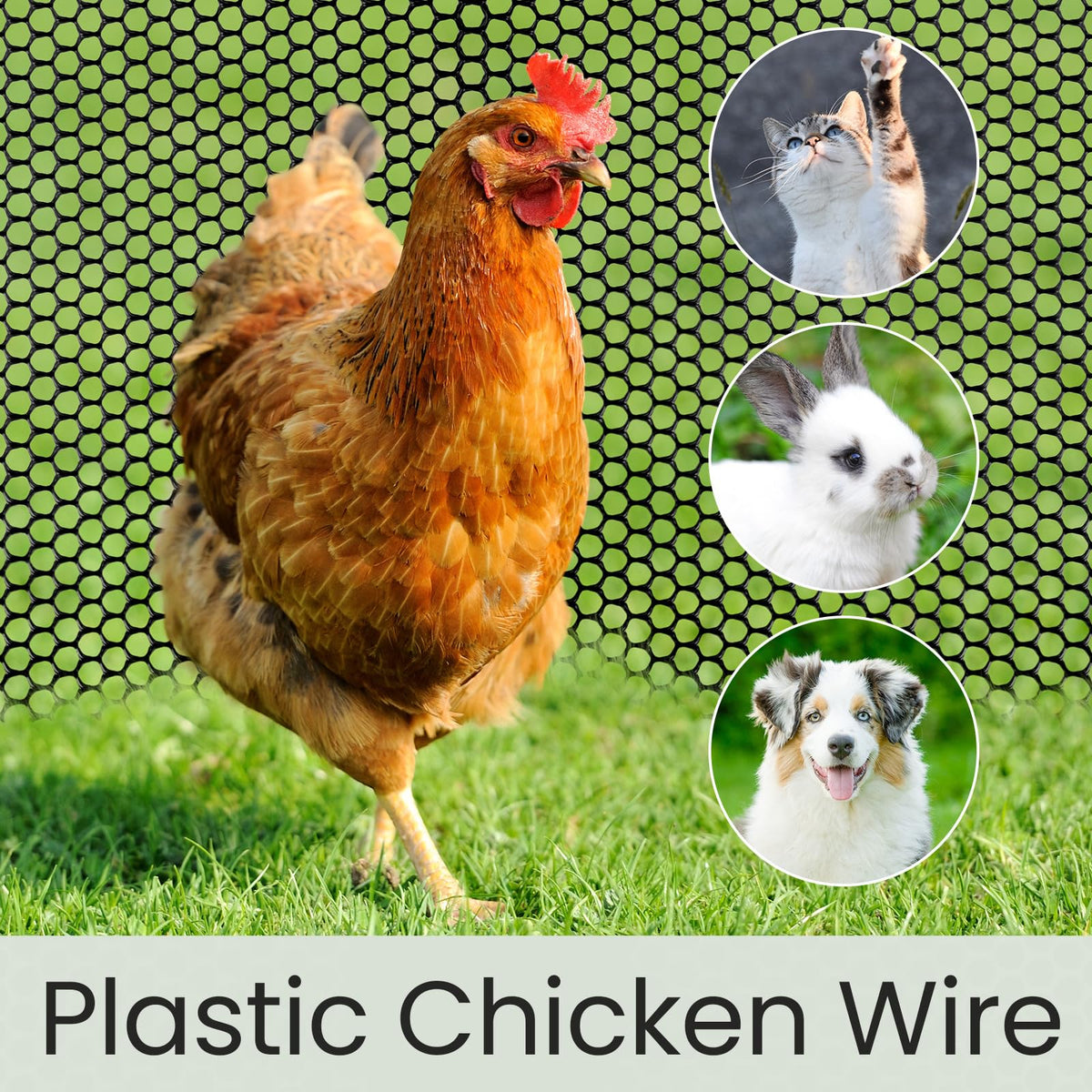Landical fencing protecting plants and pets during outdoor activity