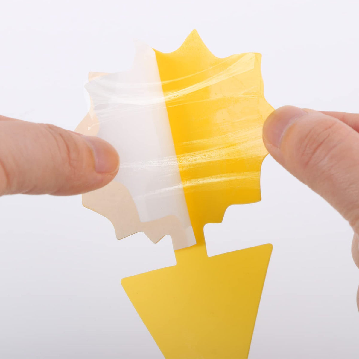 Landisun long-lasting yellow traps stay effective until fully covered with insects