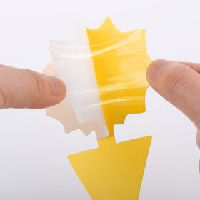 Landisun long-lasting yellow traps stay effective until fully covered with insects