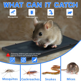 Landisun glue trap easy disposal after capture without contact