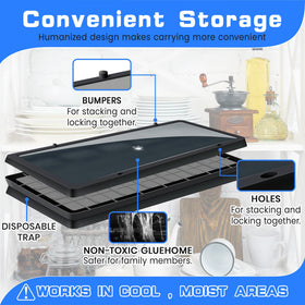 Landisun glue trap interior placement along wall and skirting boards