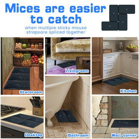 Landisun glue trap multi-species design for rats, mice and more
