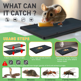 Landisun Mouses Traps adhesive board closeup with non-toxic glue