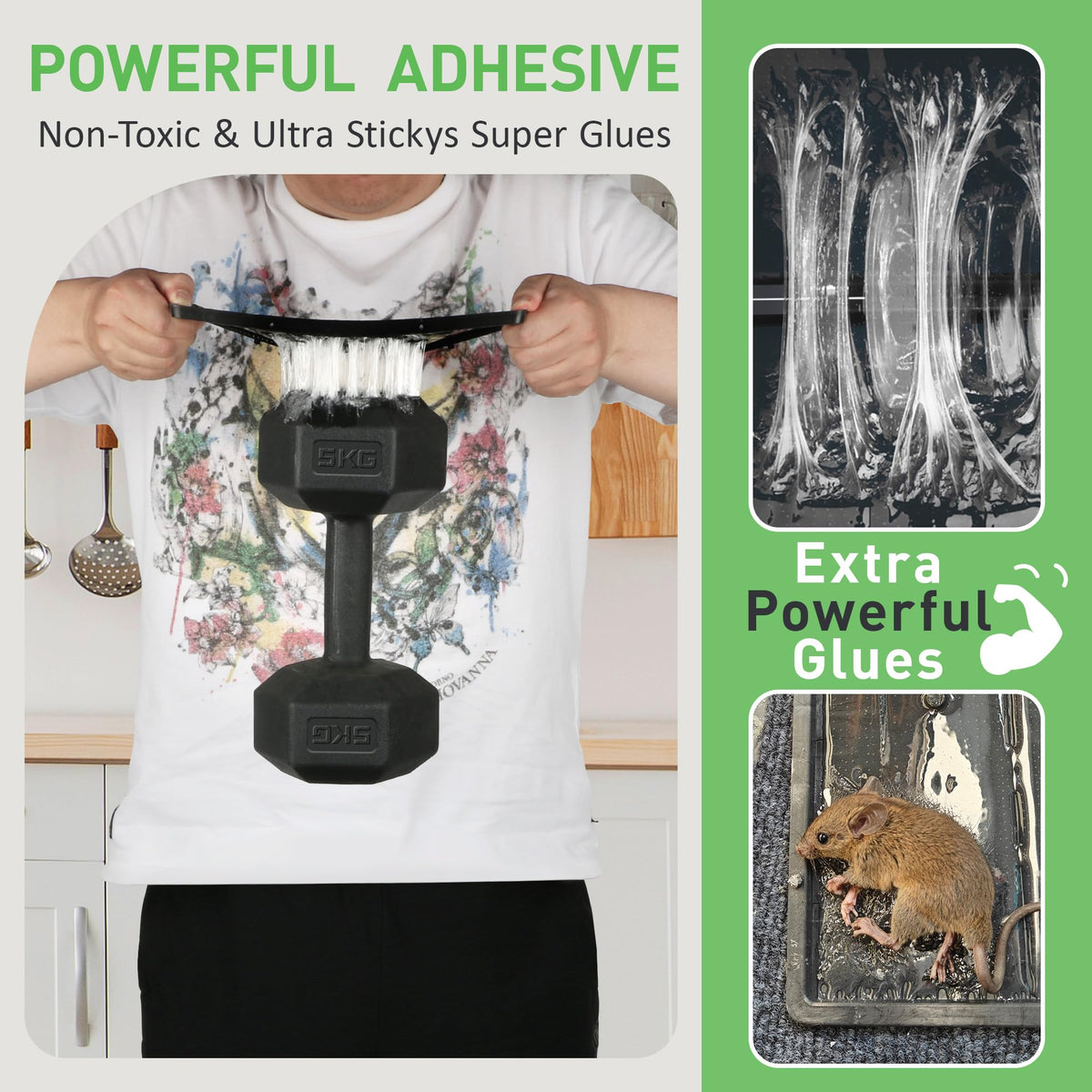 Landisun Mouses Traps safe non-toxic label for family-friendly use