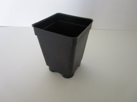 Landmark Plastics 2.5-inch square extra deep pot inside view, rigid sides support stable transplanting.