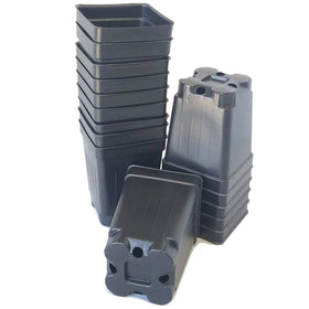 Landmark Plastics 2.5-inch square extra deep nursery pot top view, ideal for starting robust seedlings.