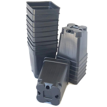 Landmark Plastics 2.5-inch square extra deep nursery pot top view, ideal for starting robust seedlings.