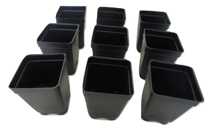 Landmark Plastics 2.5-inch square extra-deep nursery pot for herbs and tomatoes.