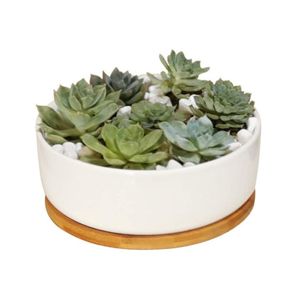 LANKER 6.3-inch round white ceramic succulent pot on a clean desk setup for compact greenery.