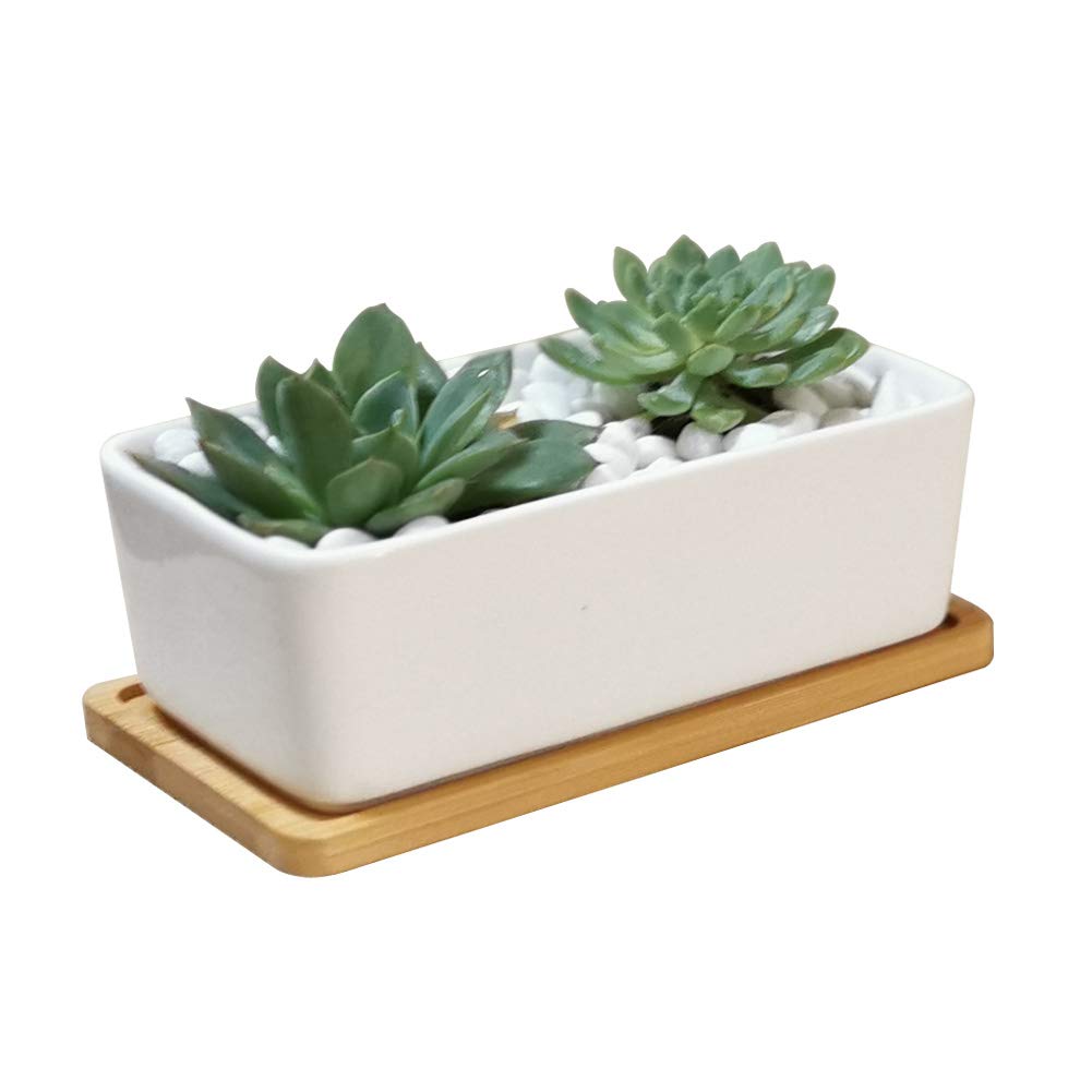 LANKER rectangle white ceramic planter with bamboo tray, ideal desk greenery.