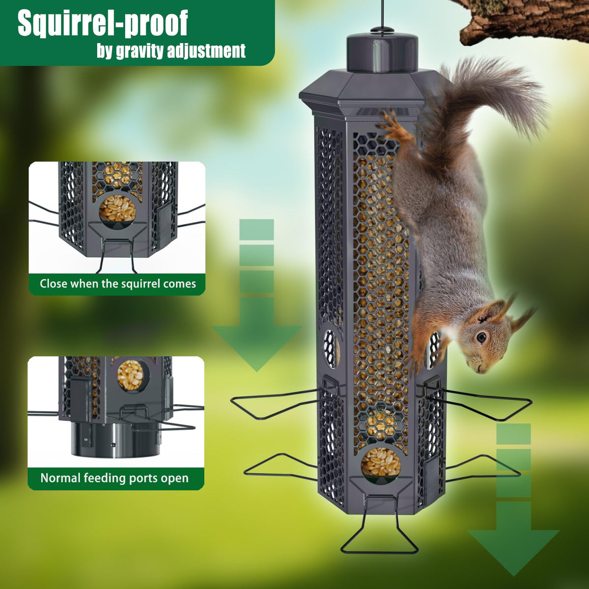 Lannso bird feeder with removable base for easy cleaning