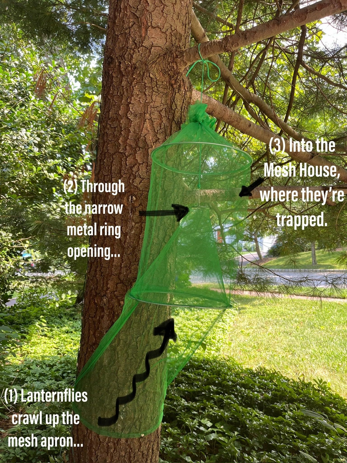 Lanternfly Motel green 2-pack mesh apron detail shows generous 16-inch opening.