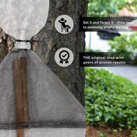 LanternFly Trap Co. close-up reveals the bag catching lanternflies with no bycatch.