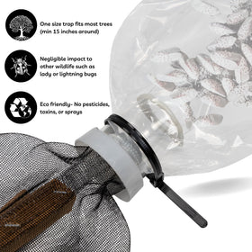 LanternFly Trap Co. front view shows the trap designed to catch lanternflies on the trunk.