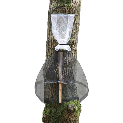 LanternFly Trap Co. side view of the tree trap protecting trees from spotted lanternflies.