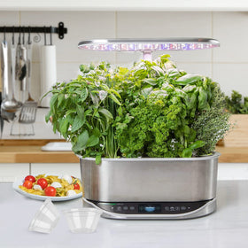 LANVRION clear dome lid shown in an indoor setup promoting humidity stability