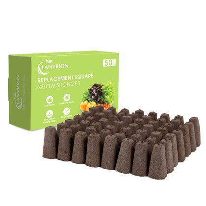 LANVRION grow sponges pack ready for hydroponics, supporting seed germination