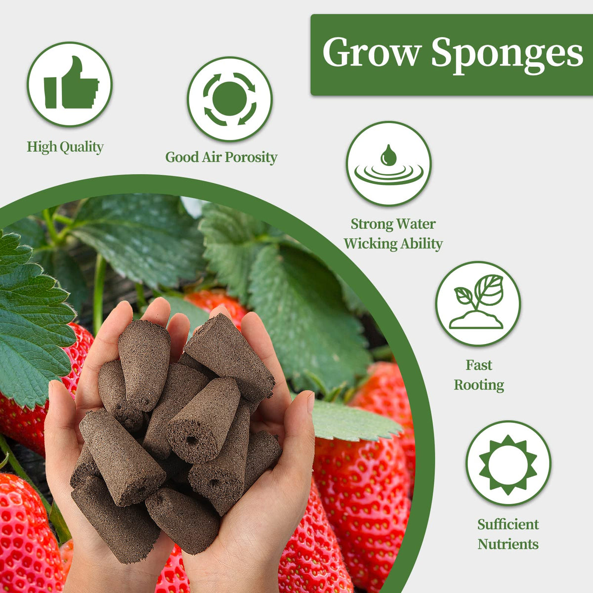 LANVRION seed pods compatible with QYO, LYKO, iDOO for easy replacement