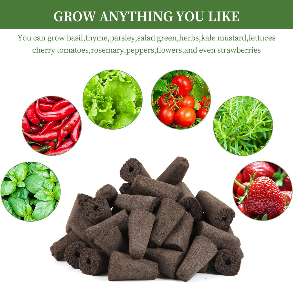 LANVRION sponges fit a wide range of herbs and berries