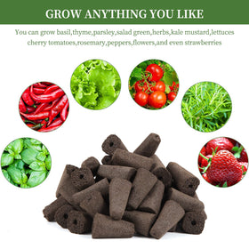 LANVRION sponges fit a wide range of herbs and berries