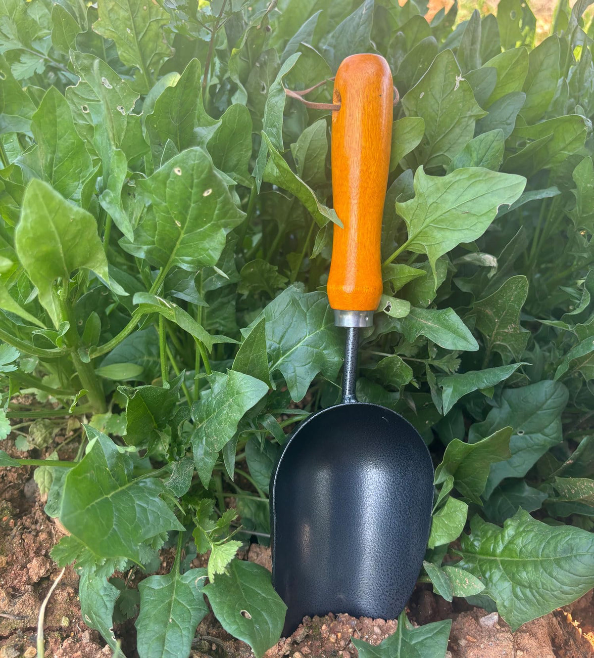 LANYOTA ergonomic garden tool blends comfort and durability in one trowel
