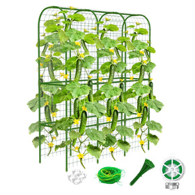 Laodier 65in tall cucumber trellis assembly provides space-saving garden support.