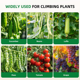 Laodier black outdoor trellis for vegetables in the garden.